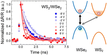 Graphical abstract: Electrically tunable non-radiative lifetime in WS2/WSe2 heterostructures