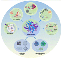 Graphical abstract: Advances in antitumor application of ROS enzyme-mimetic catalysts