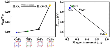 Graphical abstract: Insights into the mechanism of a substituted metal center regulating the enzymatic activity of Prussian blue analogues for catalytic antioxidation