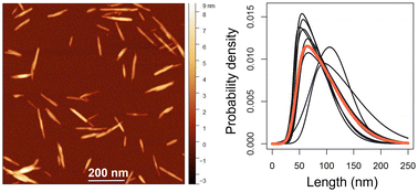 Graphical abstract: Cellulose nanomaterial metrology: microscopy measurements