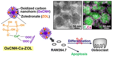 Graphical abstract: Calcium-mediated zoledronate loading onto carbon nanohorns
