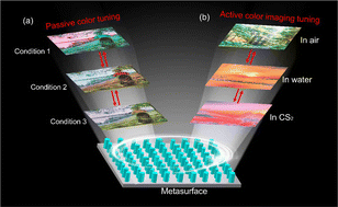 Graphical abstract: Deep learning-assisted inverse design of metasurfaces for active color image tuning
