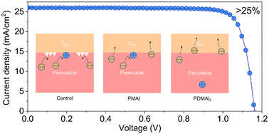 Graphical abstract: Suppressing surface and interface recombination to afford efficient and stable inverted perovskite solar cells