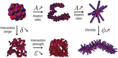 Graphical abstract: Dilute suspensions of Janus rods: the role of bond and shape anisotropy