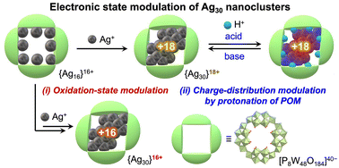 Graphical abstract: Electronic state modulation of Ag30 nanoclusters within a ring-shaped polyoxometalate