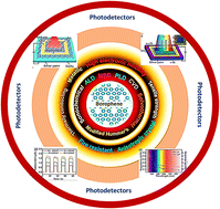 Graphical abstract: Advances in borophene based photodetectors for a sustainable tomorrow: a comprehensive review
