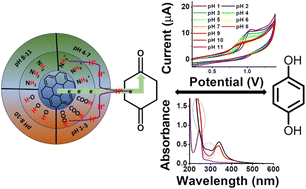 Graphical abstract: A proton-coupled electron transfer process from functionalized carbon dots to molecular substrates: the role of pH