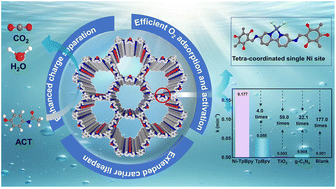 Graphical abstract: Nickel single atoms anchored on a bipyridine-based covalent organic framework: boosting active sites for photodegradation of acetaminophen