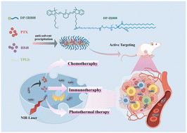 Graphical abstract: A versatile tumor-targeted drug-delivery system based on IR808-modified nanoparticles, its co-loading with PTX and R848 and its extraordinary antitumor efficacy