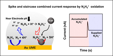 Graphical abstract: Exploring single-entity electrochemistry beyond conventional potential windows: mechanistic insights into hydrazine/hydrazinium ion oxidation