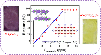 Graphical abstract: Unraveling the ammonia sensing behavior and degradation pathways of a novel lead-free MA2CuBr4 based ammonia sensor