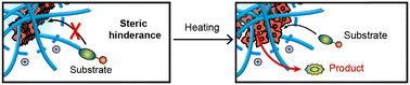 Graphical abstract: Controlled bioorthogonal catalyst self-assembly and activity using rationally designed polymer scaffolds