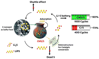 Graphical abstract: Bifunctional electrocatalytic hybrid heterostructures for polysulfide anchoring/conversion for a stable lithium–sulfur battery