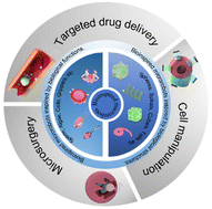 Graphical abstract: Bioinspired microrobots and their biomedical applications