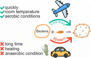 Graphical abstract: Sustainable catalysts in a short time: harnessing bacteria for swift palladium nanoparticle production