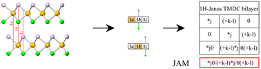 Graphical abstract: Comprehensive determination of highly symmetric transition metal dichalcogenide multilayers