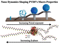 Graphical abstract: Insights into the electroactive impact of magnetic nanostructures in PVDF composites via small-angle neutron scattering