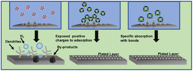 Graphical abstract: Solvation structure regulation of zinc ions with nitrogen-heterocyclic additives for advanced batteries
