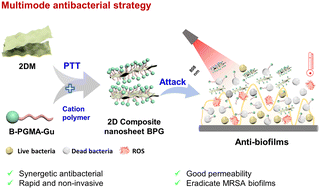 Graphical abstract: Synergetic antibacterial nanosheet based on Ti3C2Tx photothermal therapy and cationic polymer to eradicate drug-resistant bacterial biofilms