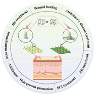 Graphical abstract: Metal–organic framework microneedles for precision transdermal drug delivery: design strategy and therapeutic potential