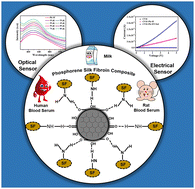 Graphical abstract: A non-enzymatic dual sensing approach for the detection of cholesterol in real samples using silk fiber functionalized phosphorene quantum dots