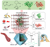 Graphical abstract: Increasing the dual-enzyme cascade biocatalysis efficiency and stability of metal–organic frameworks via one-step coimmobilization for visual detection of glucose