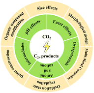 Graphical abstract: Electrocatalytic reduction of CO2 to produce the C2+ products: from selectivity to rational catalyst design