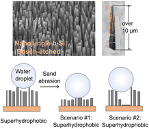 Graphical abstract: Enhanced superhydrophobic robustness of black silicon employing nanojungle structures