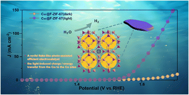 Graphical abstract: Light-induced charge transfer from a fullerene to a zeolitic imidazolate framework enhances alkaline electrocatalytic hydrogen production