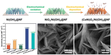 Graphical abstract: Construction of bimetallic oxy-hydroxides based on Ni(OH)2 nanosheets for sensitive non-enzymatic glucose detection via electrochemical oxidation and incorporation