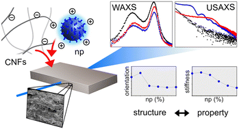 Graphical abstract: Decoding in-plane orientation in cellulose nanopapers hybridized with tailored polymeric nanoparticles