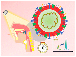 Graphical abstract: Nanophotonic biosensors for COVID-19 detection: advances in mechanisms, methods, and design