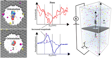 Graphical abstract: Orientation dependence of current blockade in single amino acid translocation through a graphene nanopore