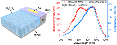 Graphical abstract: A visible light enhanced Ti3C2Tx/silicon nanowire array heterojunction broadband photodetector based on leaky mode resonance