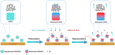 Graphical abstract: Ferroelectricity enhances ion migration in hard carbon anodes for high-performance potassium ion batteries