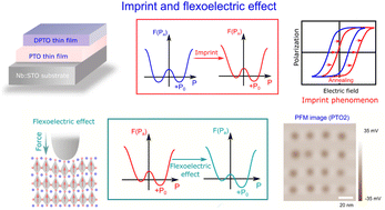 Graphical abstract: Local ferroelectric domain switching phenomenon in PbTiO3 thin films affected by the imprint effect and external force