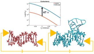 Graphical abstract: DNA conductance modulation via aptamer binding