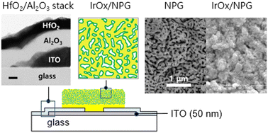 Graphical abstract: In vitro recording and stimulation performance of multi-electrode arrays passivated with plasma-enhanced atomic layer-deposited metal oxides