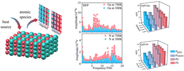 Graphical abstract: The effect of atomic vibration on thermal transport in diatomic semiconductors investigated via ab initio molecular dynamics