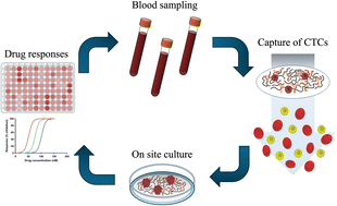 Graphical abstract: Replication of patient specific circulating tumor cells on a microfibrous filter for drug screening