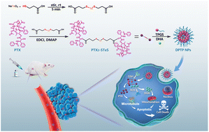 Graphical abstract: Nanoassemblies of the redox paclitaxel prodrug with the natural active ingredient dihydroartemisinin for therapy of breast cancer