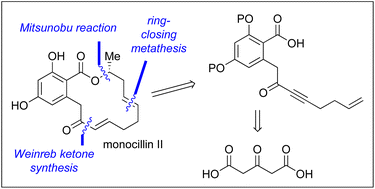 Graphical abstract: Total synthesis of 14-membered ring β-resorcylic acid lactone (+)-monocillin II