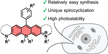 Graphical abstract: Recent advances in Si-rhodamine-based fluorescent probes for live-cell imaging