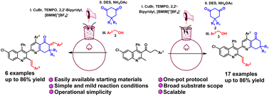 Graphical abstract: Copper-catalyzed dehydrogenative cyclization/alkenylation towards dihydroquinolinones