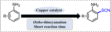Graphical abstract: Copper-catalyzed ortho-thiocyanation of aromatic amines