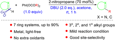 Graphical abstract: Metal- and light-free decarboxylative direct C–H alkylation of heteroarenes at room temperature