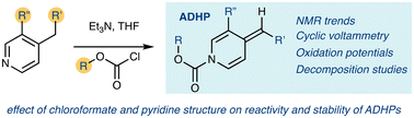 Graphical abstract: Stability and reactivity of alkylidene dihydropyridines