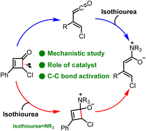 Graphical abstract: DFT study on isothiourea-catalyzed C–C bond activation of cyclobutenone: the role of the catalyst and the origin of stereoselectivity