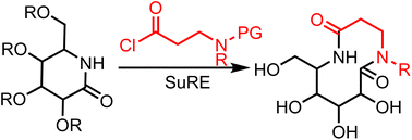 Graphical abstract: Expanding the scope of the successive ring expansion strategy for macrocycle and medium-sized ring synthesis: unreactive and reactive lactams