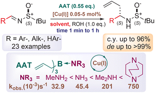 Graphical abstract: Amine adducts of triallylborane as highly reactive allylborating agents for Cu(i)-catalyzed allylation of chiral sulfinylimines